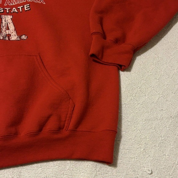 Gildan Georgia Hoodie Mens size XL The Peach State USA Dadcore - Picture 7 of 16
